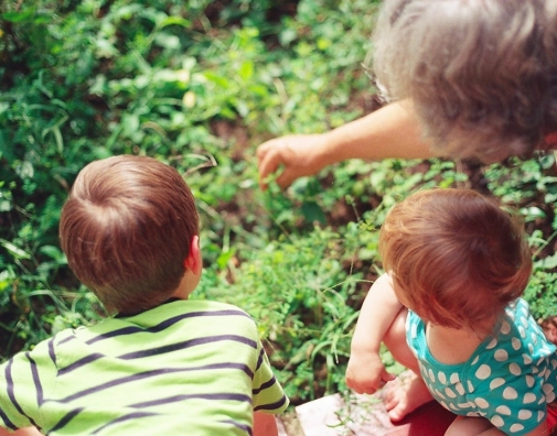 ADNA Option02 Genealogie Image