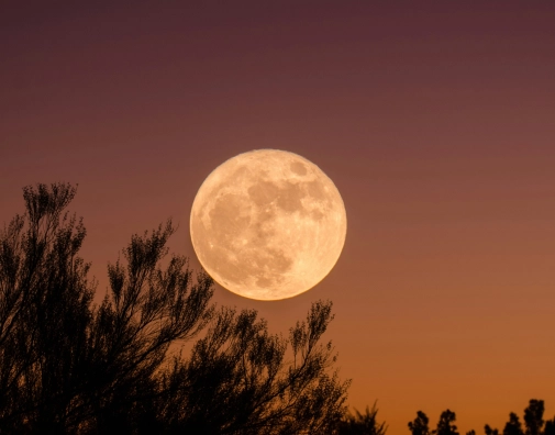 Ganapathy kumar 9kbsq91 N Fwg unsplash